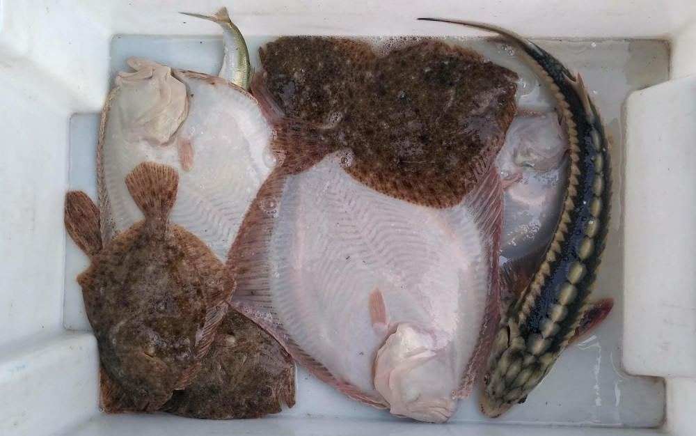 Азовське море – рибний рай для туристів